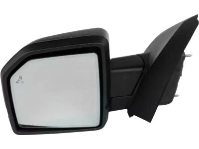 Ford JL3Z-17683-SAPTM Mirror Assembly - Rear View Outer, Driver Side