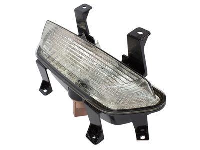 Ford FR3Z-15500-A Backup Lamp, Rear