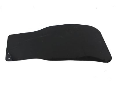 Ford E9TZ-9928370-B Shield