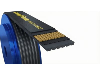 XR3Z-8620-DC Ford Belt Product Photo 4 of 4