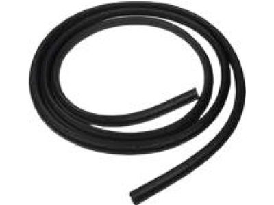 Ford 4L5Z-1320709-AA Weatherstrip Assembly - Door Opening, Driver Side