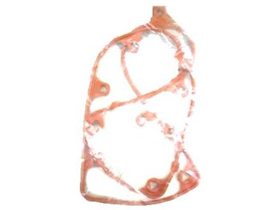 Mercury 2C2Z-6584-BA Valve Cover Gasket