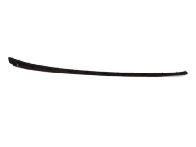 Ford BM5Z-5803178-B Windshield Molding Retainer Strip, Passenger Side