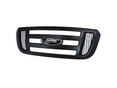 Ford 6L5Z-8200-CAA Grille