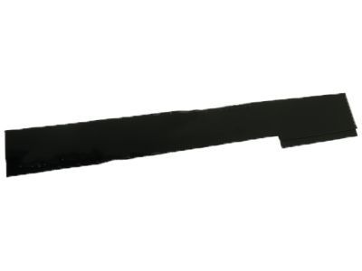 Ford FT4Z-5851968-B Rear Molding, Passenger Side