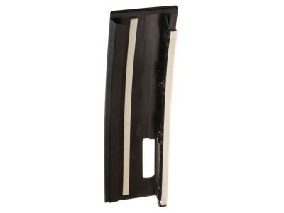 Ford FL3Z-1520555-SA Moulding - Door Outside
