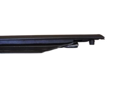 Ford 1F1Z-5421452-AA Belt Weatherstrip, Passenger Side