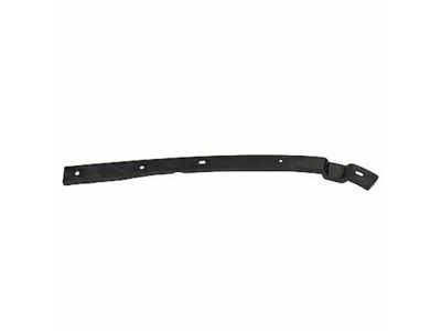 Ford 1L5Z-17A861-AC Lower Filler