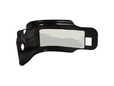 Ford BL3Z-16001A08-A Rear Plate Support Bracket, Passenger Side