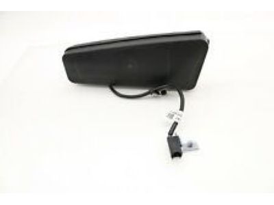 Ford BR3Z-63611D10-A Side Impact Bag
