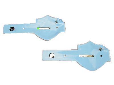 Ford 2L3Z-16720-BA Nameplate, Driver Side