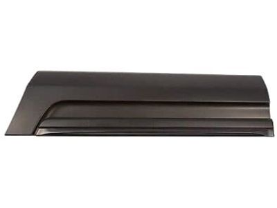 Ford FB5Z-7825557-AA Lower Molding, Carbon Black, Rear Driver Side