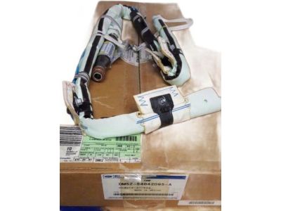 Ford DM5Z-54042D95-A Module - Air Bag, Passenger Side