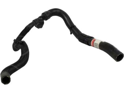 Ford DM5Z-8286-A Hose - Radiator