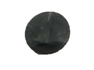 Ford DT1Z-4273-B Cap - Screw, Passenger Side