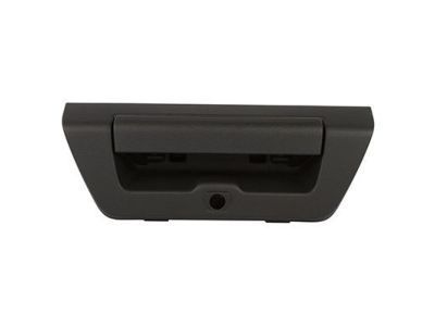 Ford Tailgate Handle - FL3Z-9943400-AA