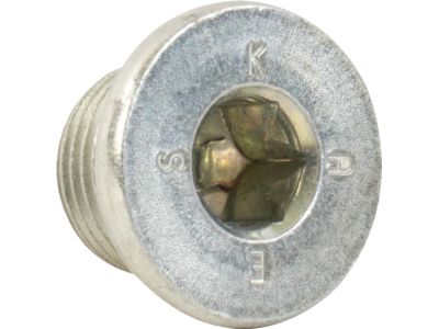 Ford AV6Z-7A010-B Plug - Threaded