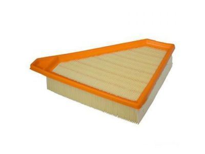 Ford 9T1Z-9601-A Air Filter