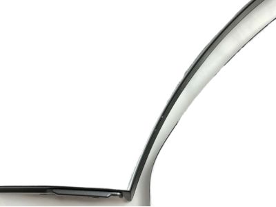Ford YL3Z-8429165-AAL Moulding                           
