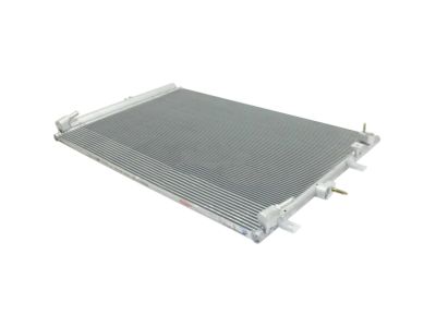 Ford F2GZ-19712-E Condenser Assy