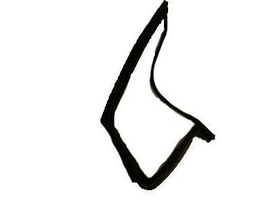 Ford DT1Z-6121597-K Run - Door Glass