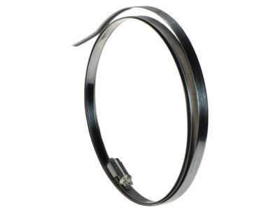 Mercury 6F2Z-1A193-D Strap