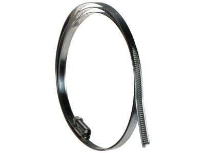 Mercury 6F2Z-1A193-D Strap