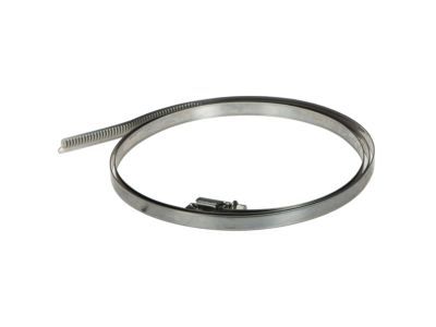 Mercury 6F2Z-1A193-D Strap