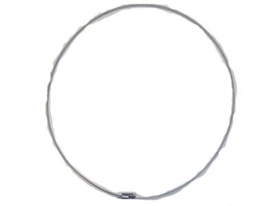 Mercury 6F2Z-1A193-D Strap