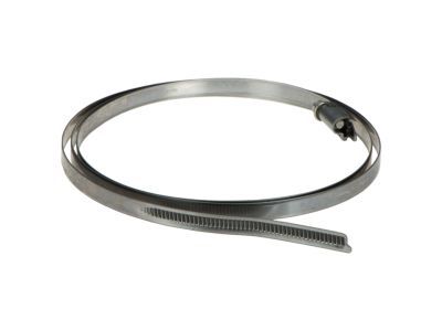 Mercury 6F2Z-1A193-D Strap