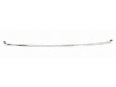 Lincoln HP5Z-8419-AB Lower Molding
