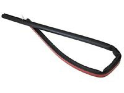 4G7Z-6321457-AA Ford Weatherstrip - Door Belt, Driver Side Product Photo 1 of 1