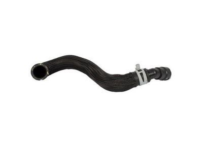 Mercury 8G1Z-8260-A Hose - Radiator