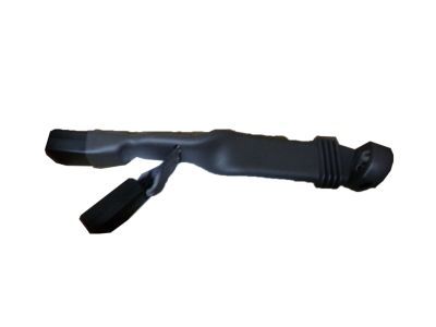 Ford 1L3Z-15612B18-AAC Center Seat Belt