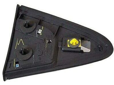 Ford AG1Z-5428166-A Upper Molding, Rear Passenger Side