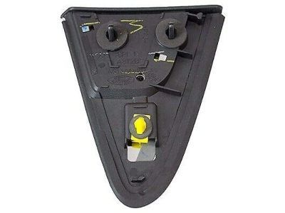 Ford AG1Z-5428166-A Upper Molding, Rear Passenger Side