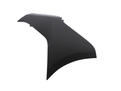 Ford DT1Z-17F774-AA Cap - Bumper End, Driver Side