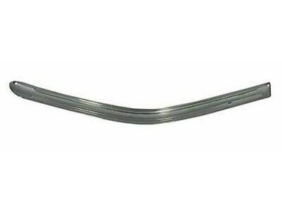 Ford CP9Z-5825511-A Molding