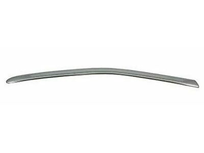 Ford CP9Z-5825511-A Molding