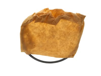 Ford 9L8Z-7D483-A Ring