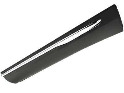 Lincoln FA1Z-5820878-BA Moulding - Door Outside