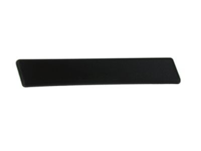 Ford CL3Z-16491-AA Step Pad