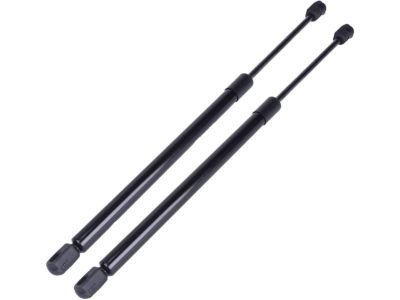 Mercury YL8Z-7842105-AA Lift Assy - Gas
