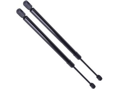 Mercury YL8Z-7842105-AA Lift Assy - Gas