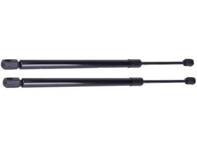 Mercury YL8Z-7842105-AA Lift Assy - Gas