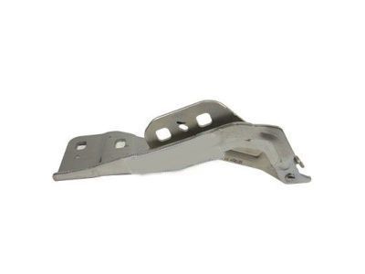 Ford DP5Z-16797-A Hinge, Front Driver Side