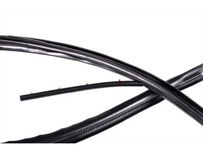 Ford 9C3Z-2651222-A Weatherstrip, Passenger Side