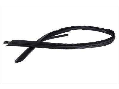 Ford 9C3Z-2651222-A Weatherstrip, Passenger Side