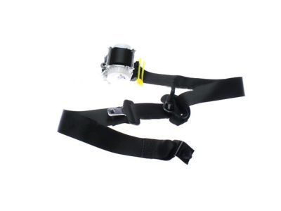 Ford DB5Z-78611B69-AA Outer Belt Assembly