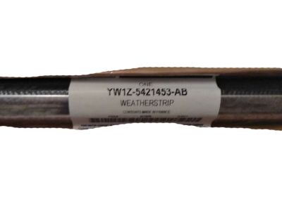 Ford YW1Z-5421453-AB Belt Weatherstrip, Driver Side